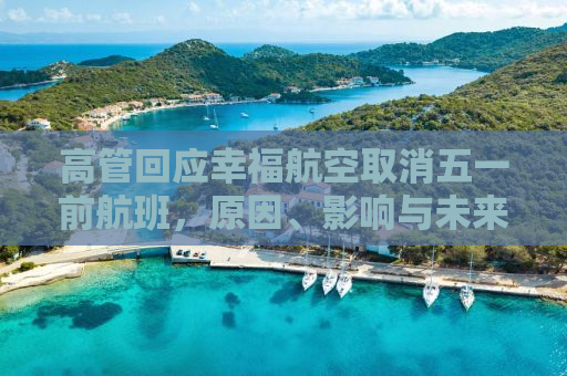 高管回应幸福航空取消五一前航班，原因、影响与未来展望