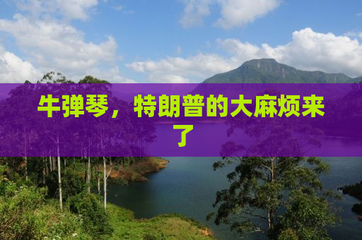 牛弹琴，特朗普的大麻烦来了